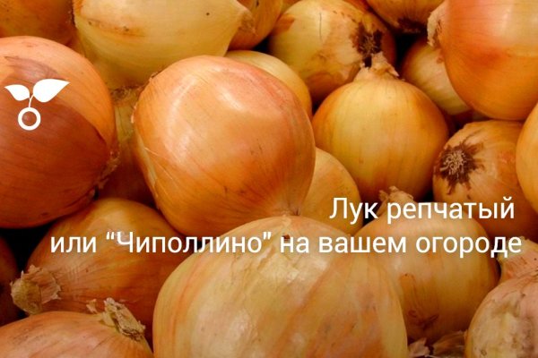 Официальный сайт даркнет