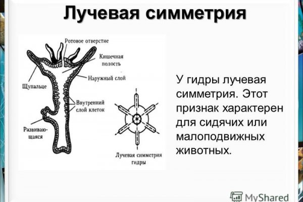 Кракен маркетплейс товары