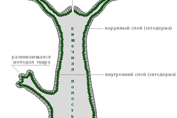 Рабочее зеркало кракен