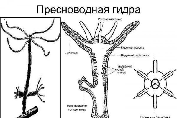 Замена гидры